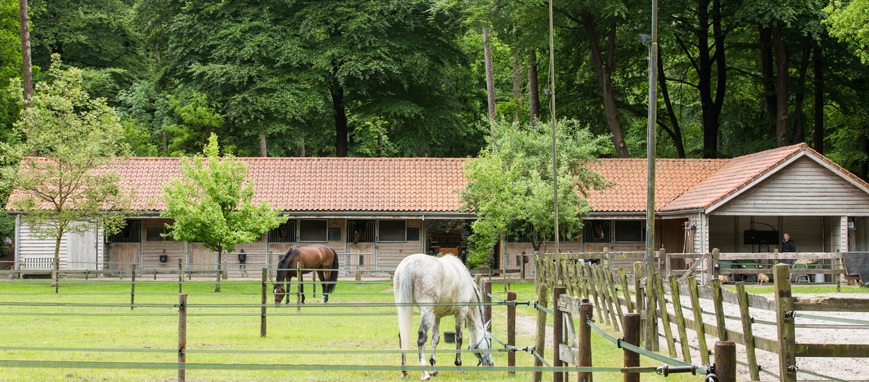 Stables for (guest) horses at Mansion Hotel Het Roode Koper in the Veluwe 
