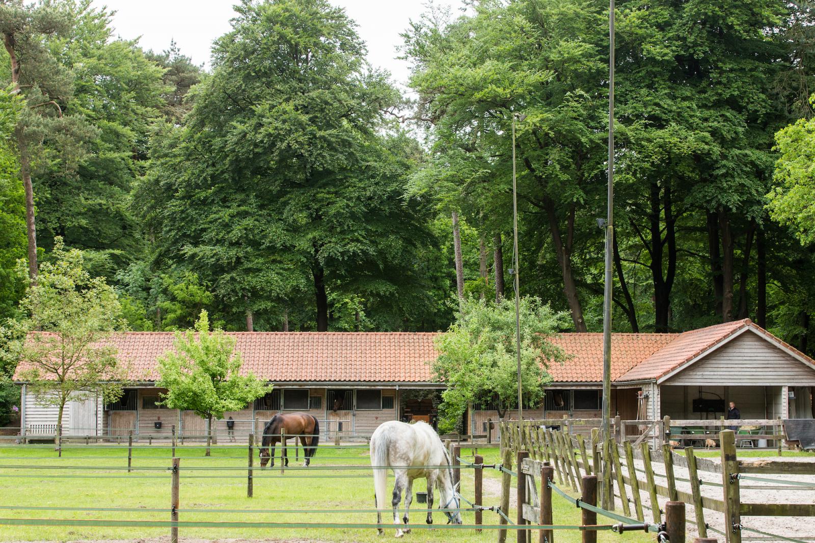 Hotel Landgoed Het Roode Koper - De manege