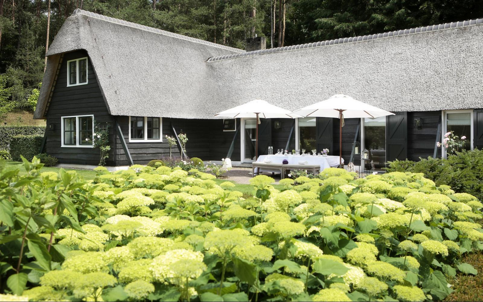 Luxushotel Landgut Het Roode Koper - Zimmer Das Manegehuis